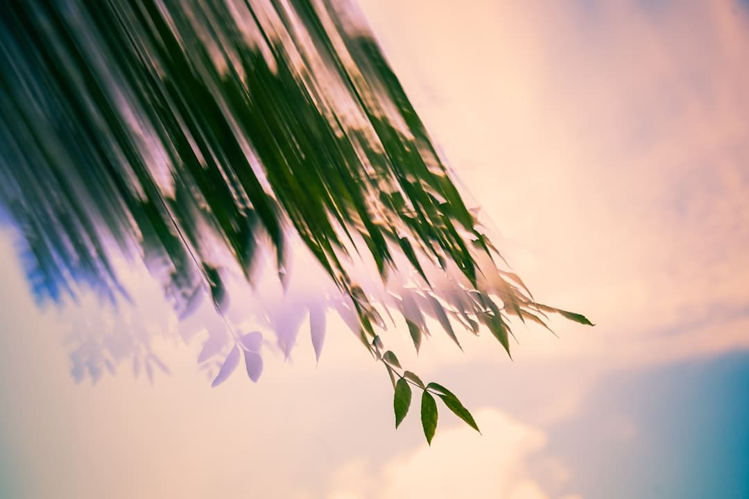开学季孩子狂囤的文具，背后藏着一座小城的“硬核实力”